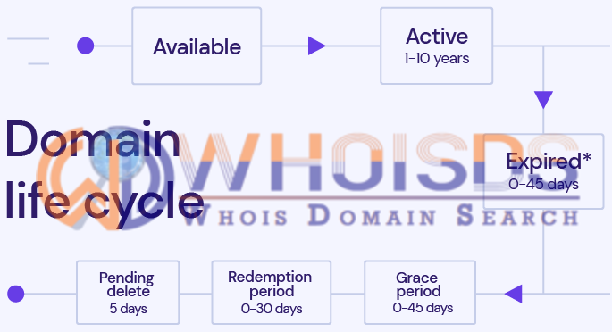 What happens to expired domains?